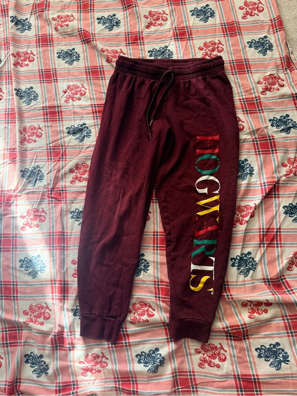 Harry Potter Hogwarts Burgundy Track Joggers *marks on right knee